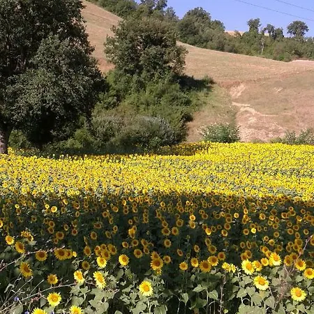 Il Castello Farm stay *