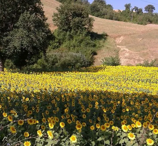 Il Castello Alloggio per agriturismo *